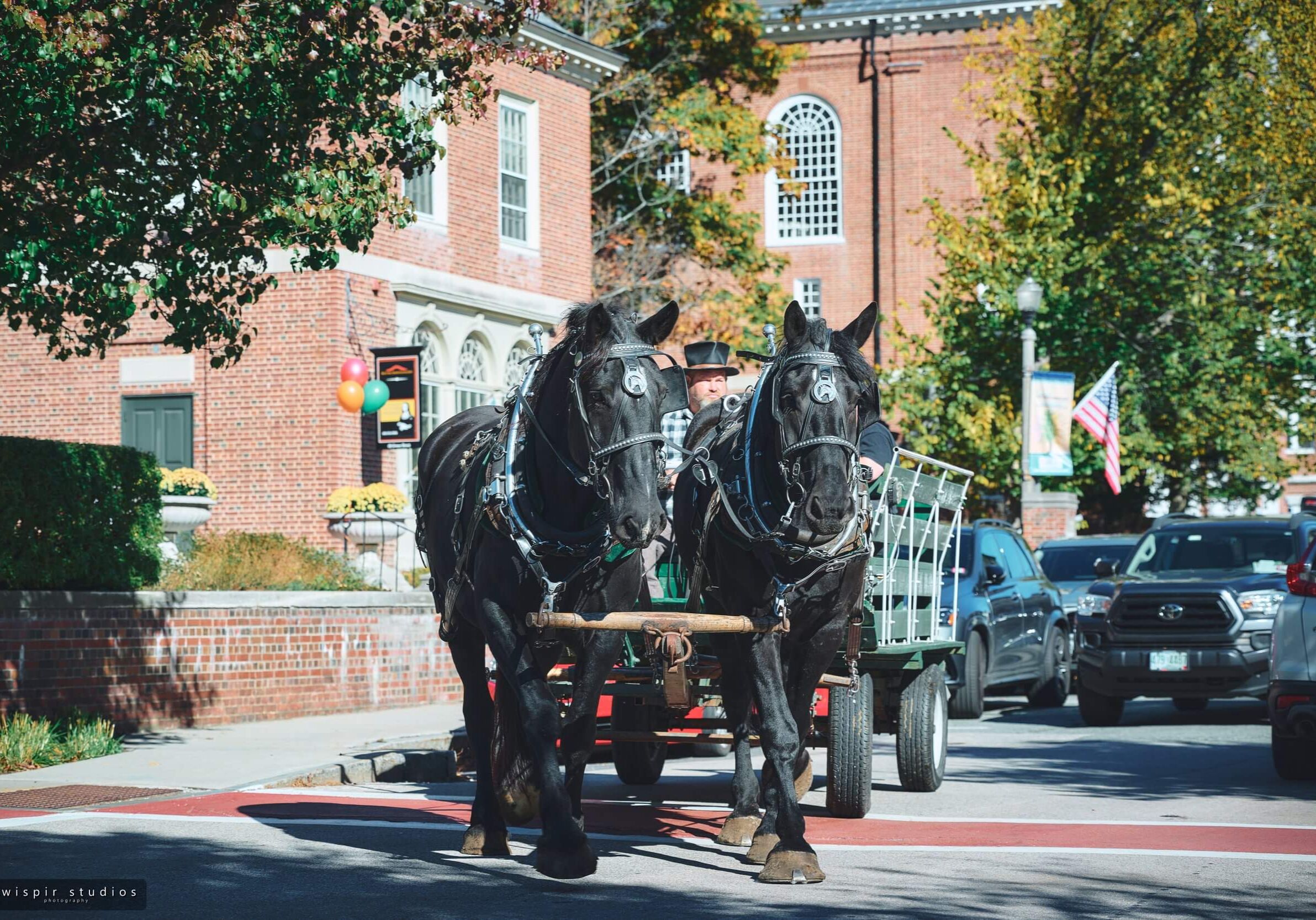 horse drawn wagon