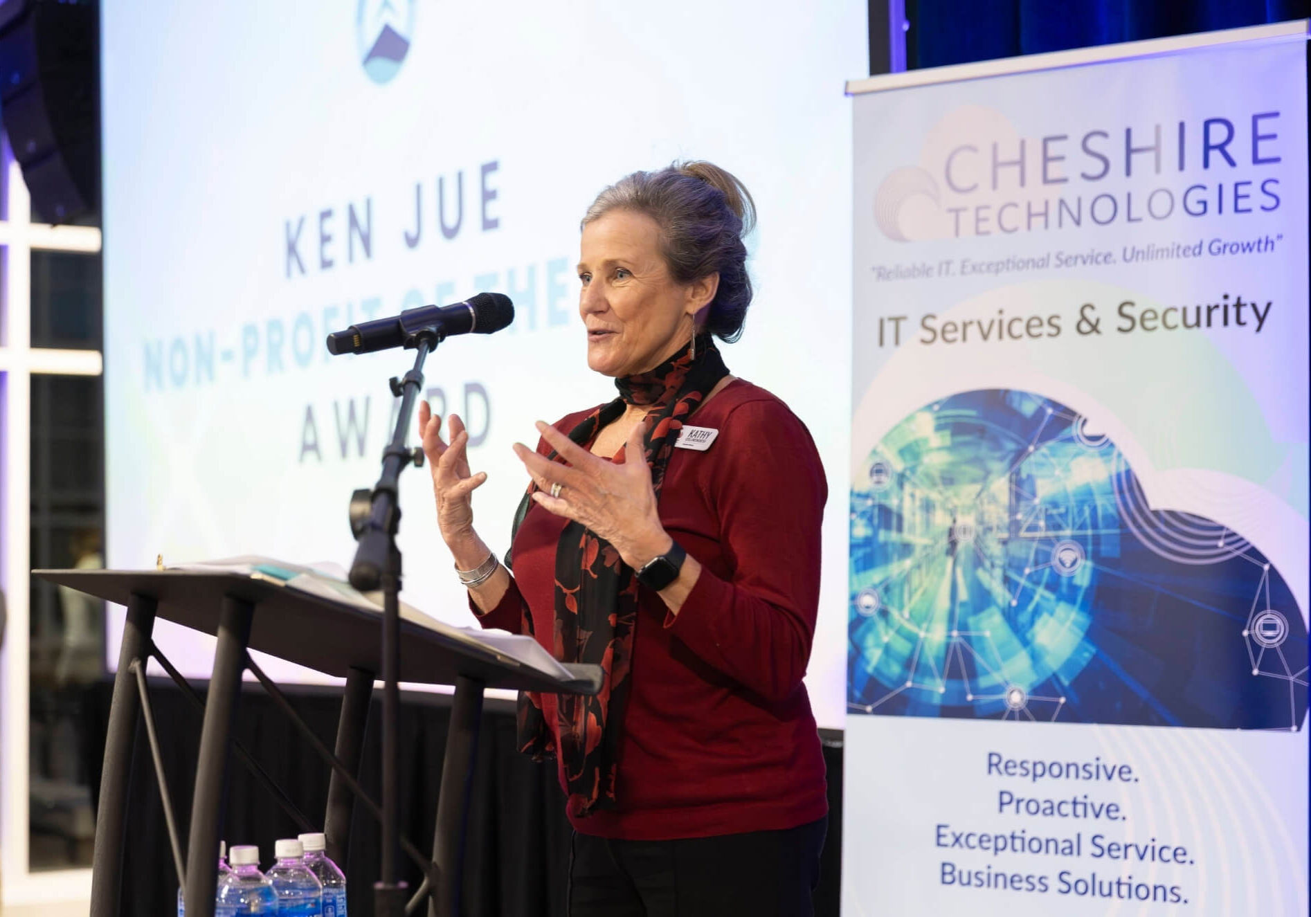 Kathy Collinsworth for MHS - Winner of 2024 NonProfit of the Year Award.jpg